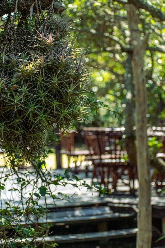 0 Bedroom Property for Sale in Moquini Western Cape